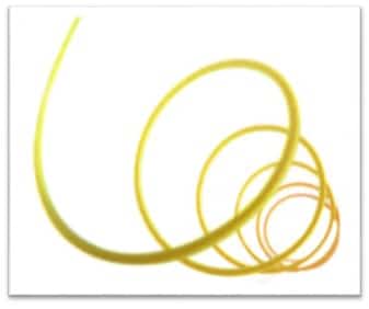 The Principle of Circular Self-Absorption